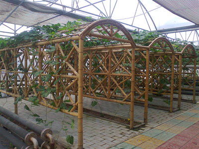 照片1134.jpg