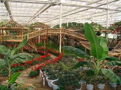 温室公园.jpg