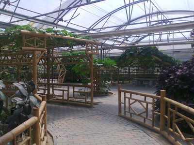 照片1156.jpg